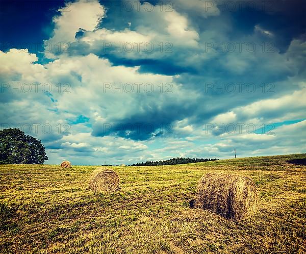 Vintage retro effect filtered hipster style image of hay bales on field in summer