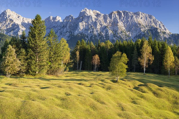 Mogul meadows between Mittenwald and Kruen