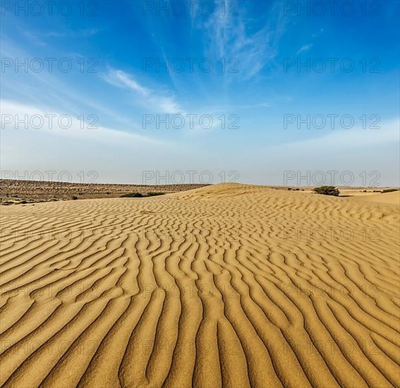 Dunes of Thar Desert. Sam Sand dunes