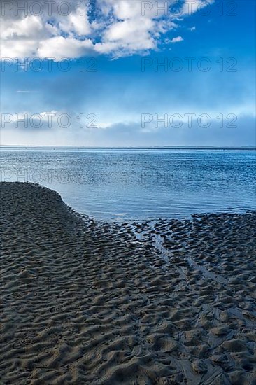 Deserted mudflats