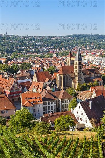 View of the town of Esslingen with historic town hall and church Travel in Esslingen