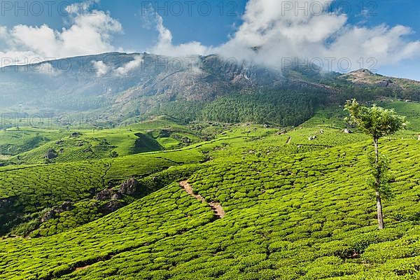 Kerala India travel background