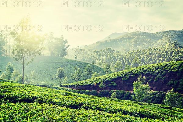 Vintage retro hipster style travel image of Kerala India travel background