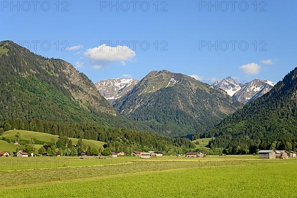 View from the Loretto meadows to the hay harvest and to the mountain Riefenkopf 1748 m