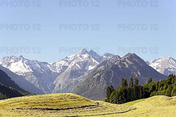 View of the mountain panorama of the Allgaeu Alps