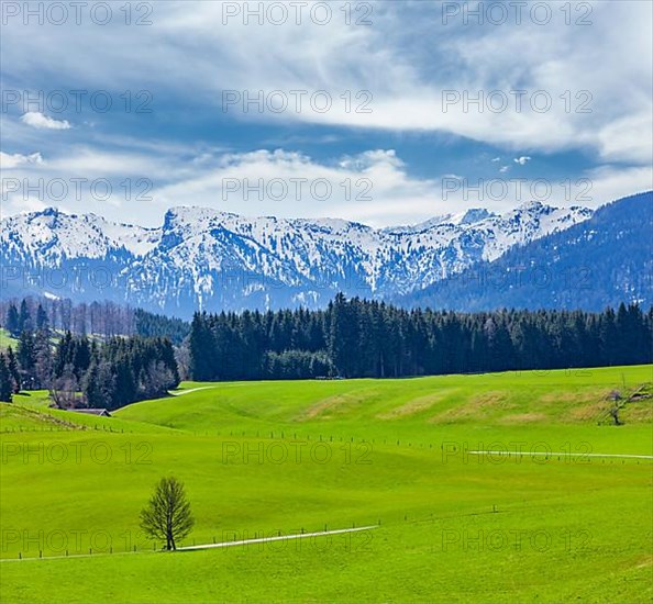 German idyllic pastoral countryside in spring with Alps in background. Bavaria