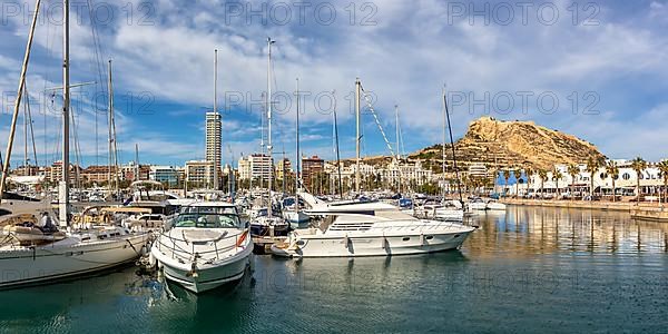 Alicante Port dAlacant Marina with boats and view of Castillo Castle holiday travel city panorama in Alicante