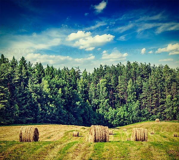 Vintage retro effect filtered hipster style image of hay bales on field in summer