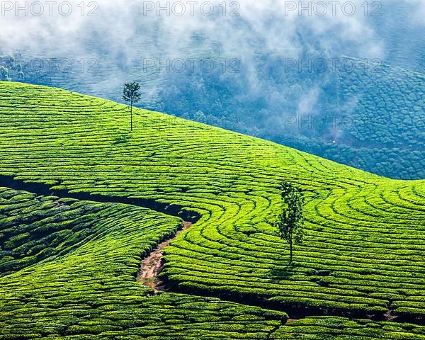 Kerala India travel background