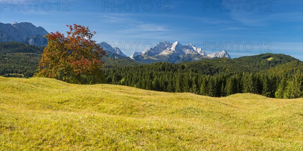 Mogul meadows between Mittenwald and Kruen