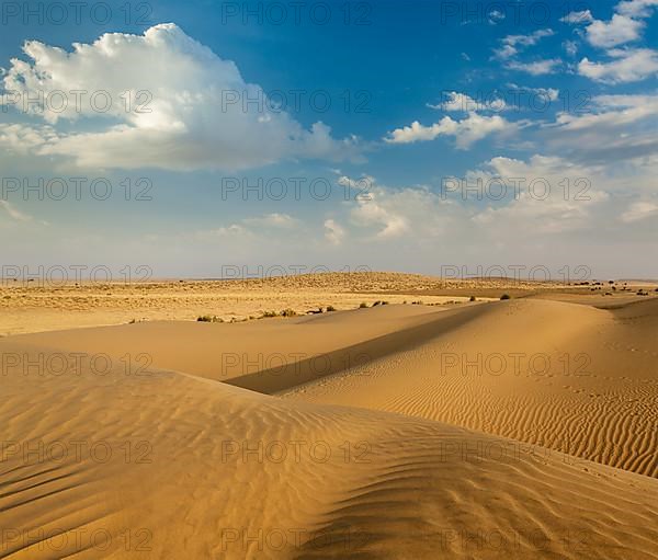 Dunes of Thar Desert. Sam Sand dunes