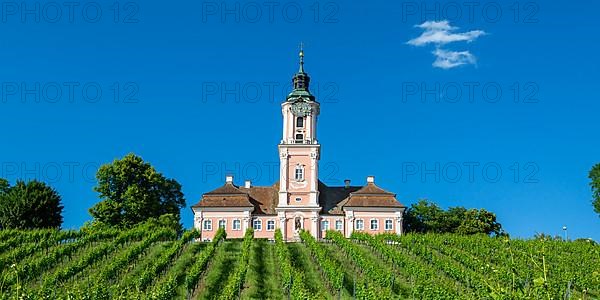 Cistercian Monastery on Lake Constance Baroque Pilgrimage Church Panorama in Birnau