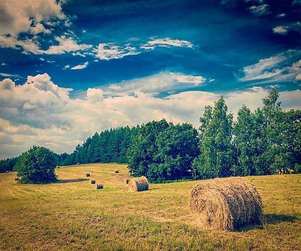 Vintage retro hipster style travel image of Agriculture background