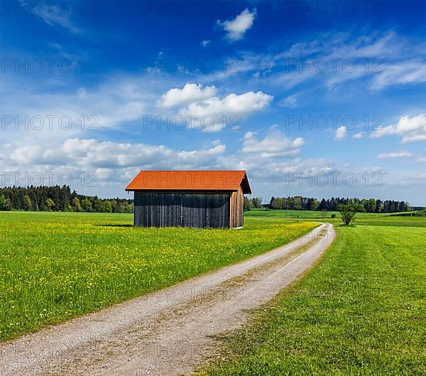 Rural road in summer meadow with wooden shed. Bavaria