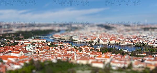 Aerial view of Charles Bridge over Vltava river and Old city from Petrin hill Observation Tower with tilt shift toy effect shallow depth of field. Prague