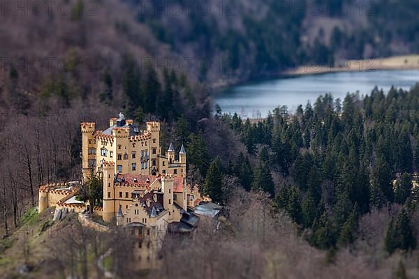 Hohenschwangau Castle Schloss Hohenschwangau