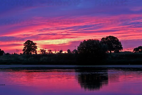 Light mood in the morning at an old watercourse in the Elbe floodplain