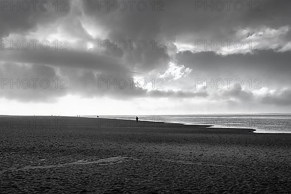 View of the dark sand mudflats in autumn