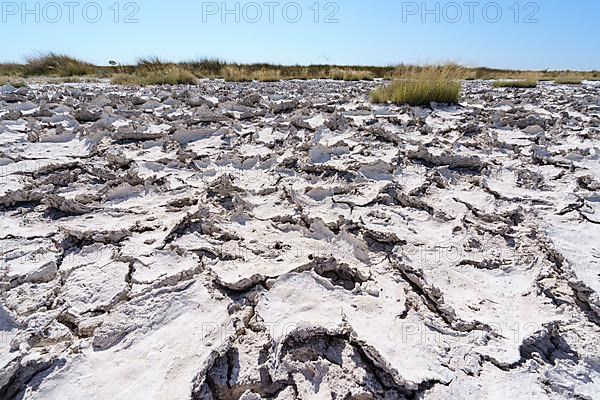 Drought mud patterns with cracks