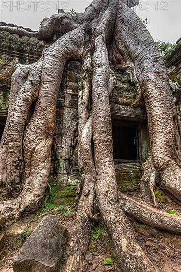 Travel Cambodia concept background