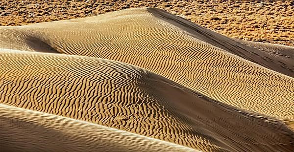 Dunes of Thar Desert. Sam Sand dunes