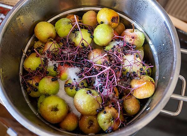 Apples and elderberries in a juicer