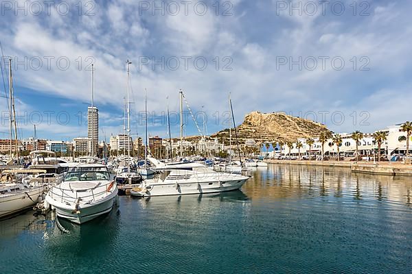 Alicante Port dAlacant Marina with boats and view of Castillo Castle Holiday travel city in Alicante