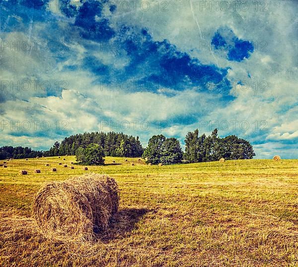 Vintage retro hipster style travel image of Agriculture background