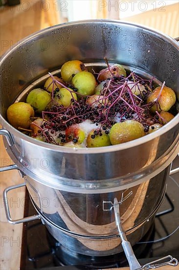 Apples and elderberries in a juicer