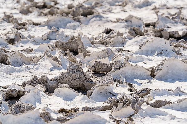 Drought mud patterns with cracks on the ground