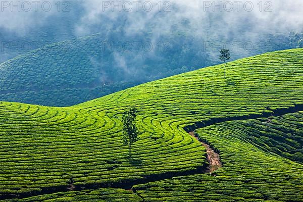 Kerala India travel background