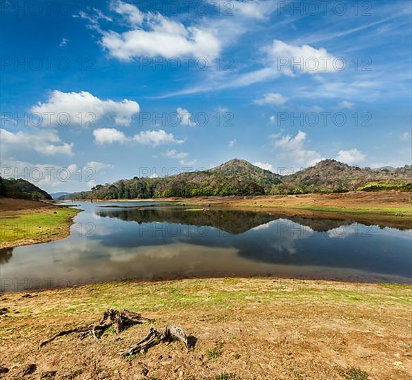 Periyar lake in Periyar wildlife sanctuary