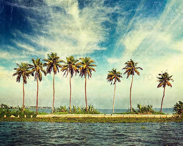 Vintage retro hipster style travel image of palms at Kerala backwaters with grunge texture overlaid. Kerala