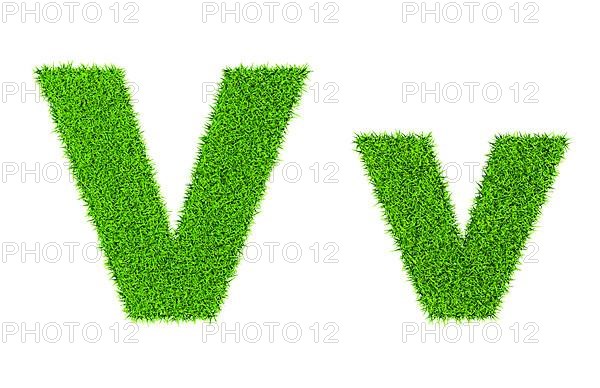 Grass letter V