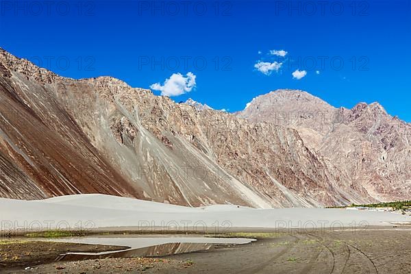 Sand dunes in Himalayas. Hunder