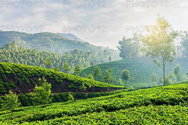 Kerala India travel background