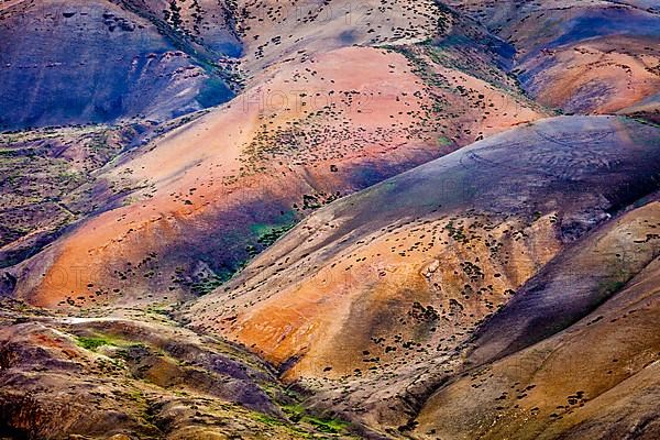 Colors of Himalayas. Spiti valley