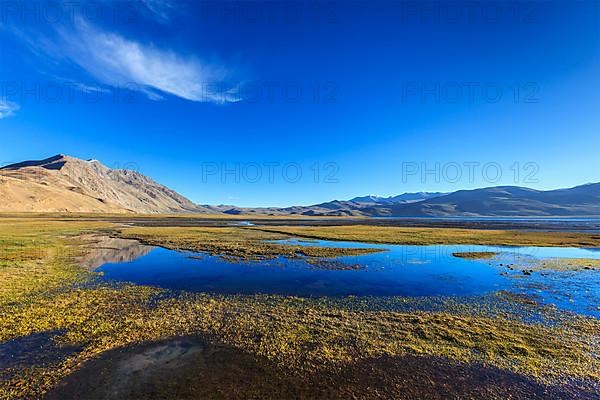 Tso Moriri lake in Himalayas