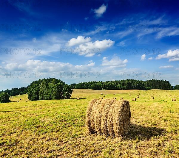 Agriculture background