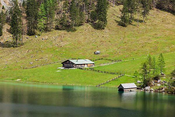 Farm house on mountain lake Obersee lake in spring. Bavaria