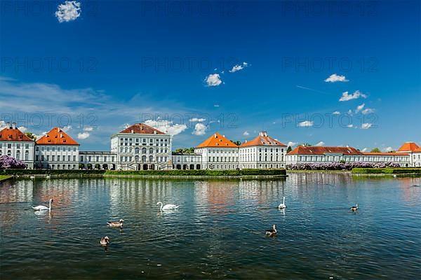 Swans and ducks in artificial pool in front of the Nymphenburg Palace. Munich