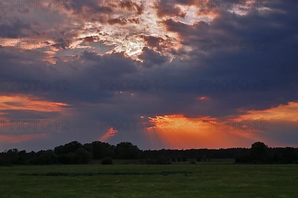 Middle Elbe Biosphere Reserve