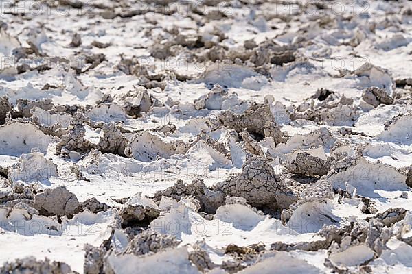 Drought mud patterns with cracks on the ground