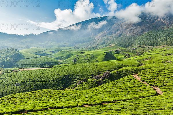 Kerala India travel background