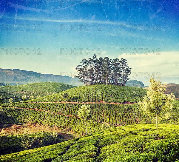 Vintage retro hipster style travel image of Kerala India travel background