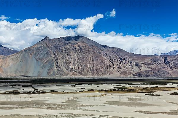 Nubra valley in Himalayas. Ladakh