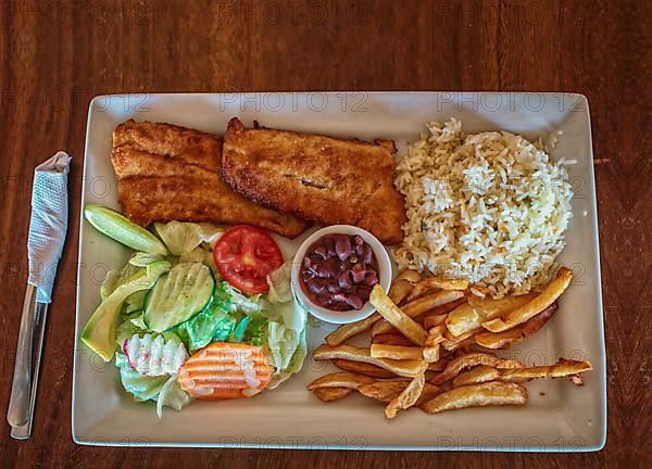 Plate of fried fish fillet with salad and french fries on wooden table