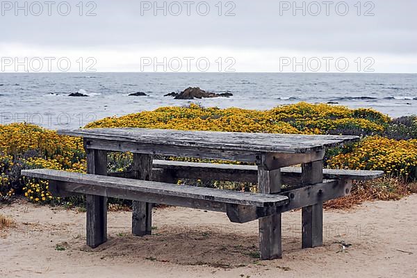 Wooden table and bench near the ocean on 7 Mile Drive. 17 Mile Drive is a scenic road through Pebble Beach and Pacific Grove on the Monterey Peninsula in Northern California