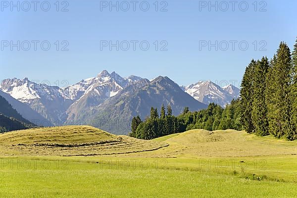 View of the mountain panorama of the Allgaeu Alps