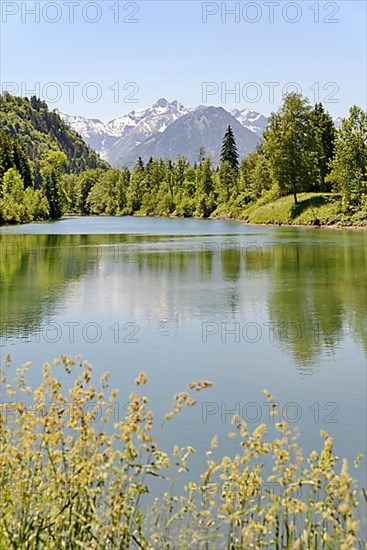 Auwaldsee near Fischen in Allgaeu